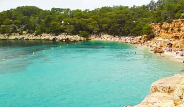 Discover Everything About Cala St. Vicente in Ibiza